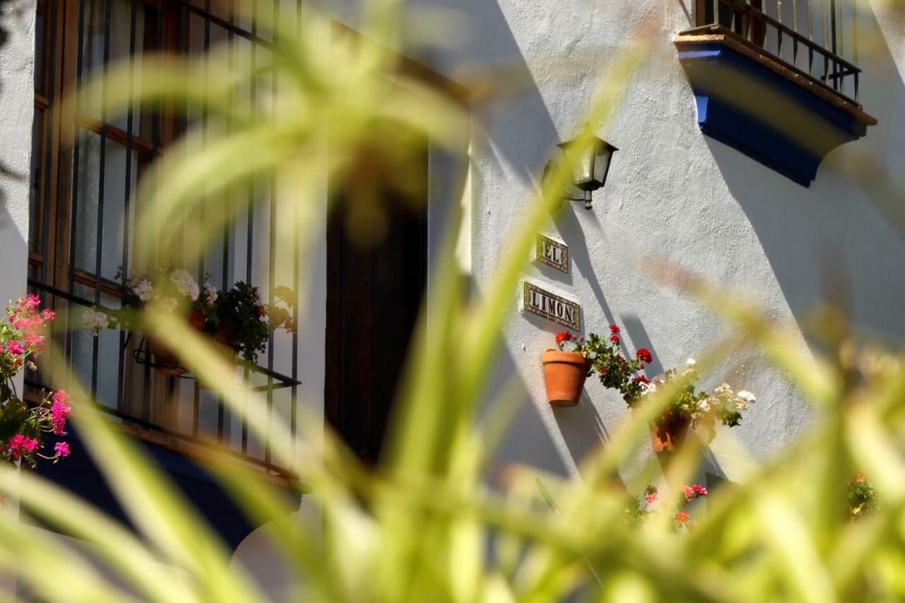הוילה מונטחאקה Casitas De La Sierra מראה חיצוני תמונה